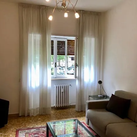 Corso Montecucco Deluxe *